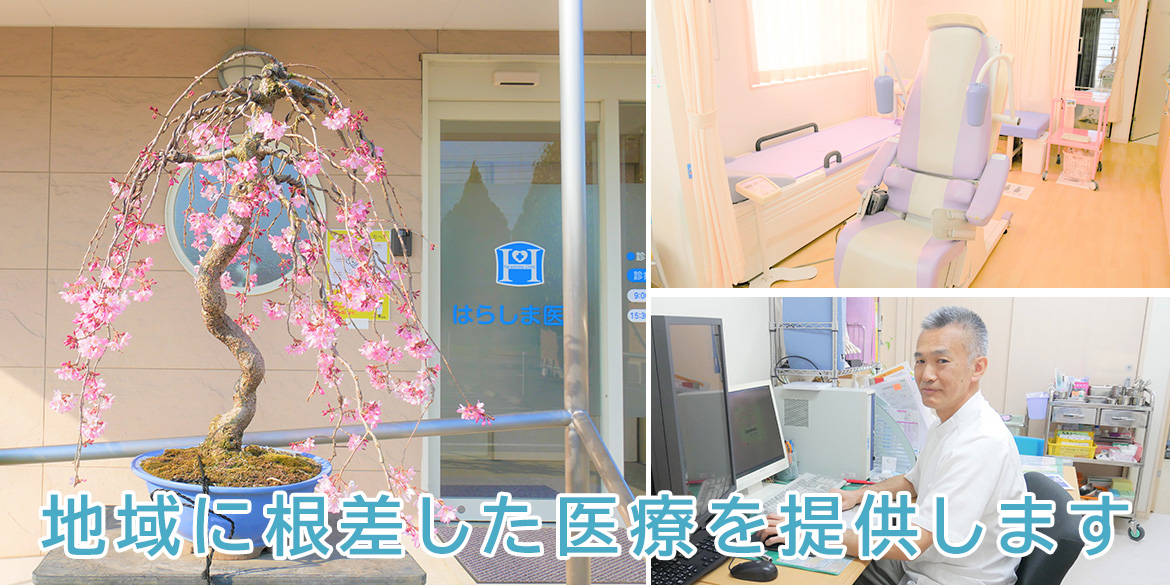 はらしま医院｜埼玉県大里郡寄居町｜内科・整形外科・麻酔科