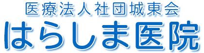 医療法人社団城東会 はらしま医院 内科 整形外科 麻酔科